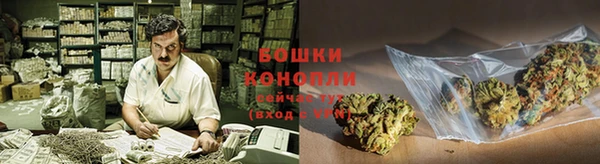 сатива Фёдоровский