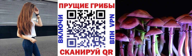 Галлюциногенные грибы Magic Shrooms  магазин    Бердск 